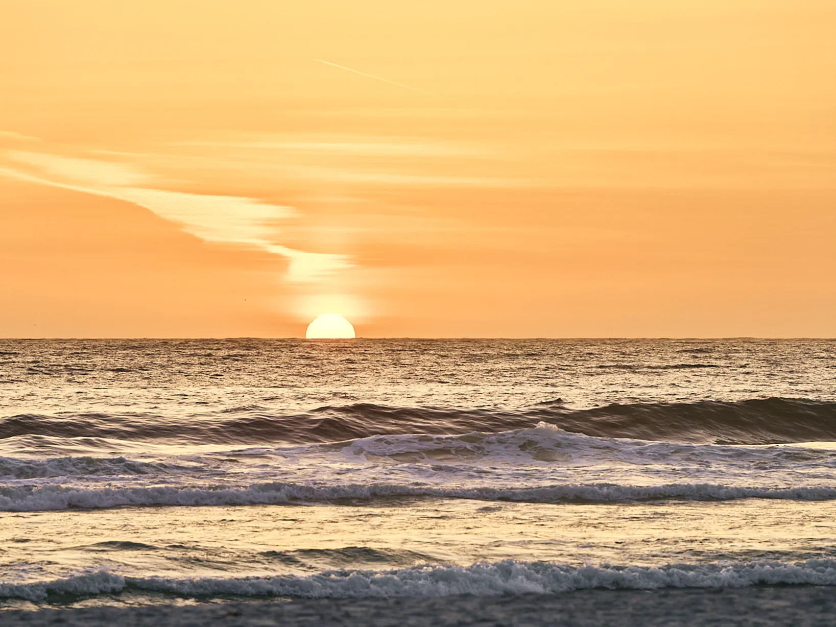 Talbott Vineyards, Sunset Hours Members Only Event.